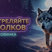 Не Стреляйте В Волков