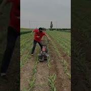 Best Farmer