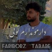 Fariborz Tababe Daramo