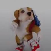 Чакарон Макарон