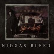 Niggaz Bleed