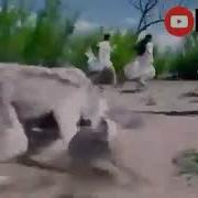 Ëри Чанги Ман Точики