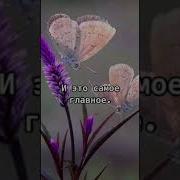 Всем Хорошего Дня