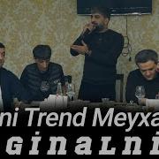Mende Arginalnidi