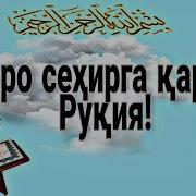 Кора Сехир