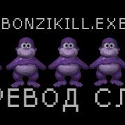 Bonzikill Exe