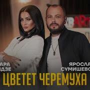 Когда Черемуха Цветет