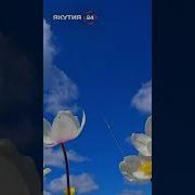 Якутская Природа Звуки