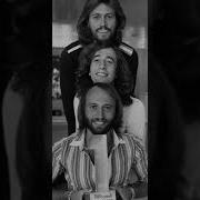 Stayin Alive Pal Pitch