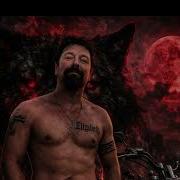 Стая Sergio Zver