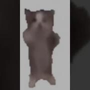 Хайпуки 1 Час