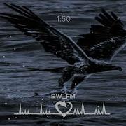 Falcon Music Is Very Sad