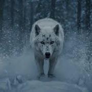 Хозяйка Наста