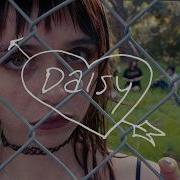Lola Blue Daisy