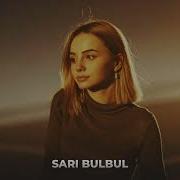 Sari Bulbul 2026