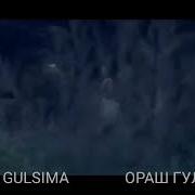 Гулсима Ораш