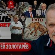 А Шелест Последнее