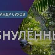 Александр Сухов Обнуленный