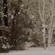 Судьба Песня До Мурашек