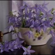 Любовь На Свете Есть