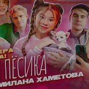 Папа Купи Пёсик