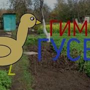 Гимн Гусей