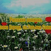 Расскажи Ромашка