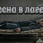 Udarnik Весна В Лагерях