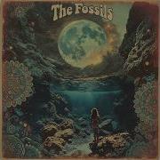 The Fossils Full Album