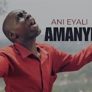 Ani Eyali Amanyi