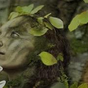 Расслабдяющая Кельтская Музыка