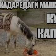 Кук Каптар