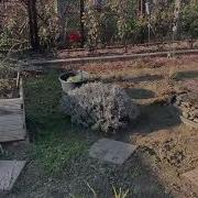 Нашей Ещё Весна Пришла