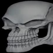 Череп Хитро Улыбается
