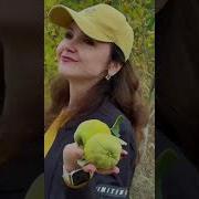 Наталья Дозорова Алёна