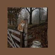 Грустная Музыка На Праздник Осени