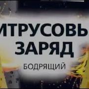 Цитрусовый Заряд Palmolive Men