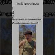 Батек Fyp