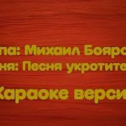 Боярский Тигры Минус