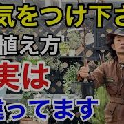 高植えとは