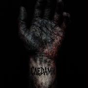 Следами Ivy The Roar