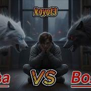 Два Волка Koyot3