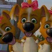 Лекарство Белка И Стрелка