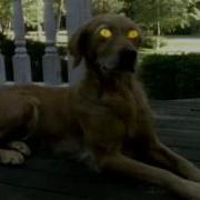 Goosebumps Theme Song