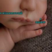 Кишкентай Адам Минус