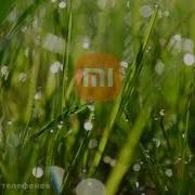 Xiaomi Redmi Утренняя Роса