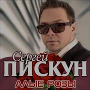 С Пискун Алаые Розы