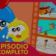Gallina Puntolina Mini 45
