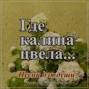 Ярмоленко Дожди