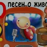 Топ 10 Песен Животных